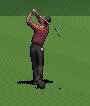 Tiger Woods 2007 mobile game