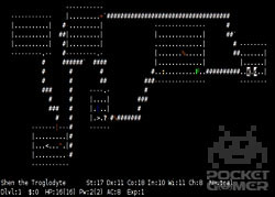 How to play NetHack on your DS 5