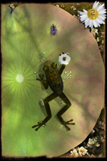 ancient frog iphone