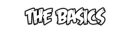 The Basics