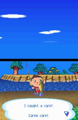 Animal Crossing: Wild World