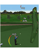 Tiger Woods PGA TOUR 09 mobile game