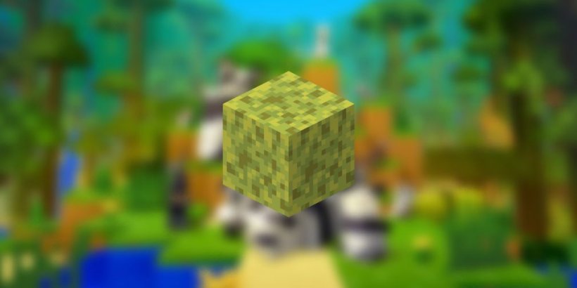 A few ways to get sponges in Minecraft