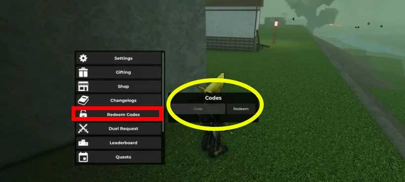 code redemption window