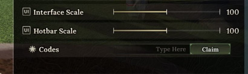 code redeem window in the settings