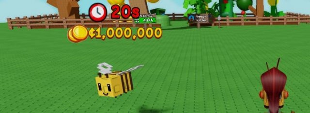 bee pet