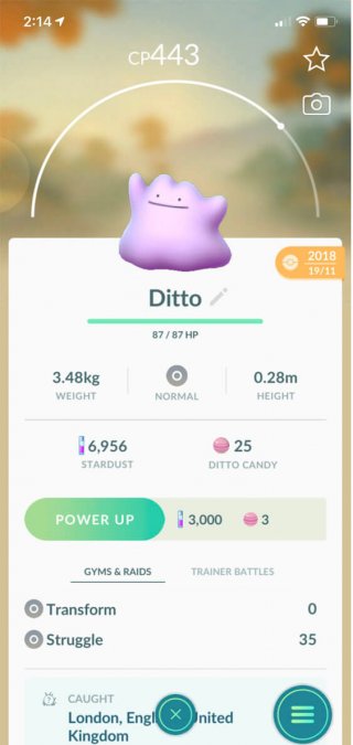 pokemon go ditto guide