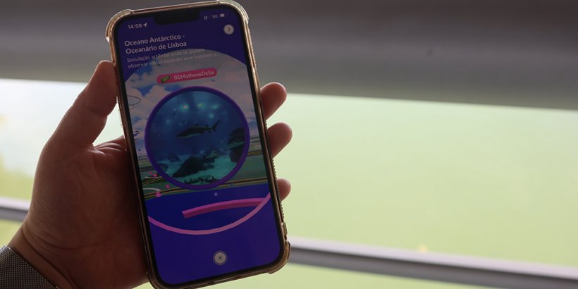 Playing at the Pokemon Go Safari Lisbon event, at the aquarium