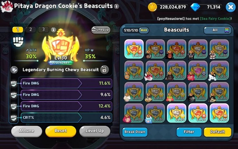 best beascuit setup with fire damage beascuits for pitaya dragon cookie