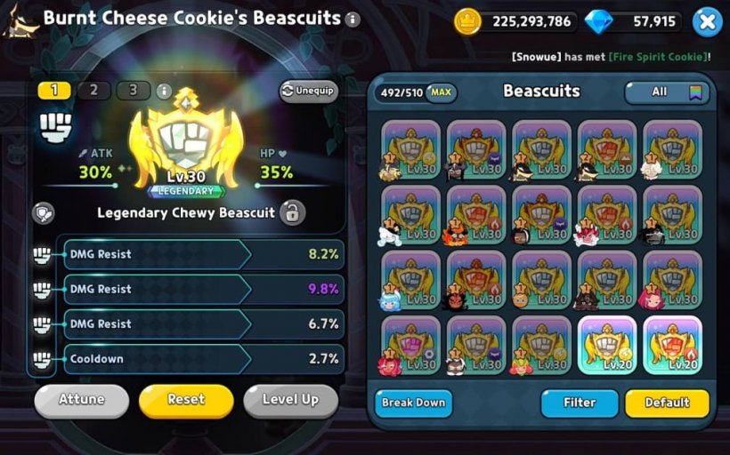 best damage resist beascuit for burnt cheese cookie