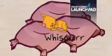 Cat Colony Crisis