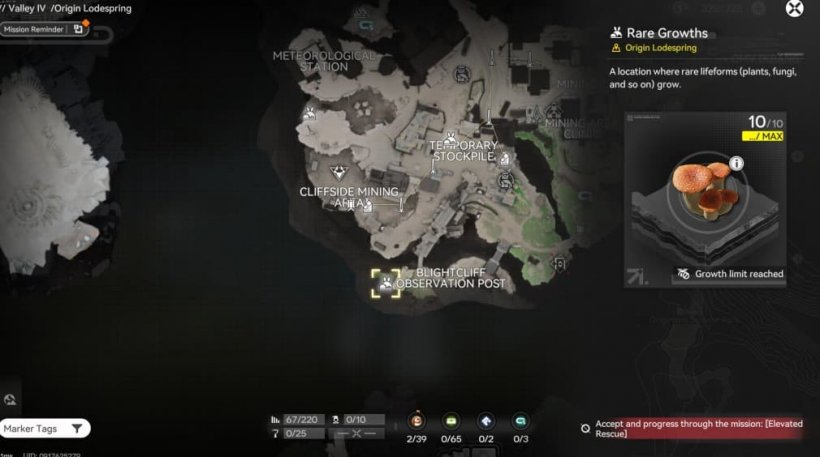 blight cliff observation post spot for red bolete