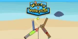 Wacky Volleyball