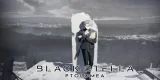 Black Stella: Ptolomea icon