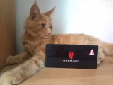 REDMAGIC 9S Pro