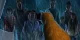 Cats and Other Lives