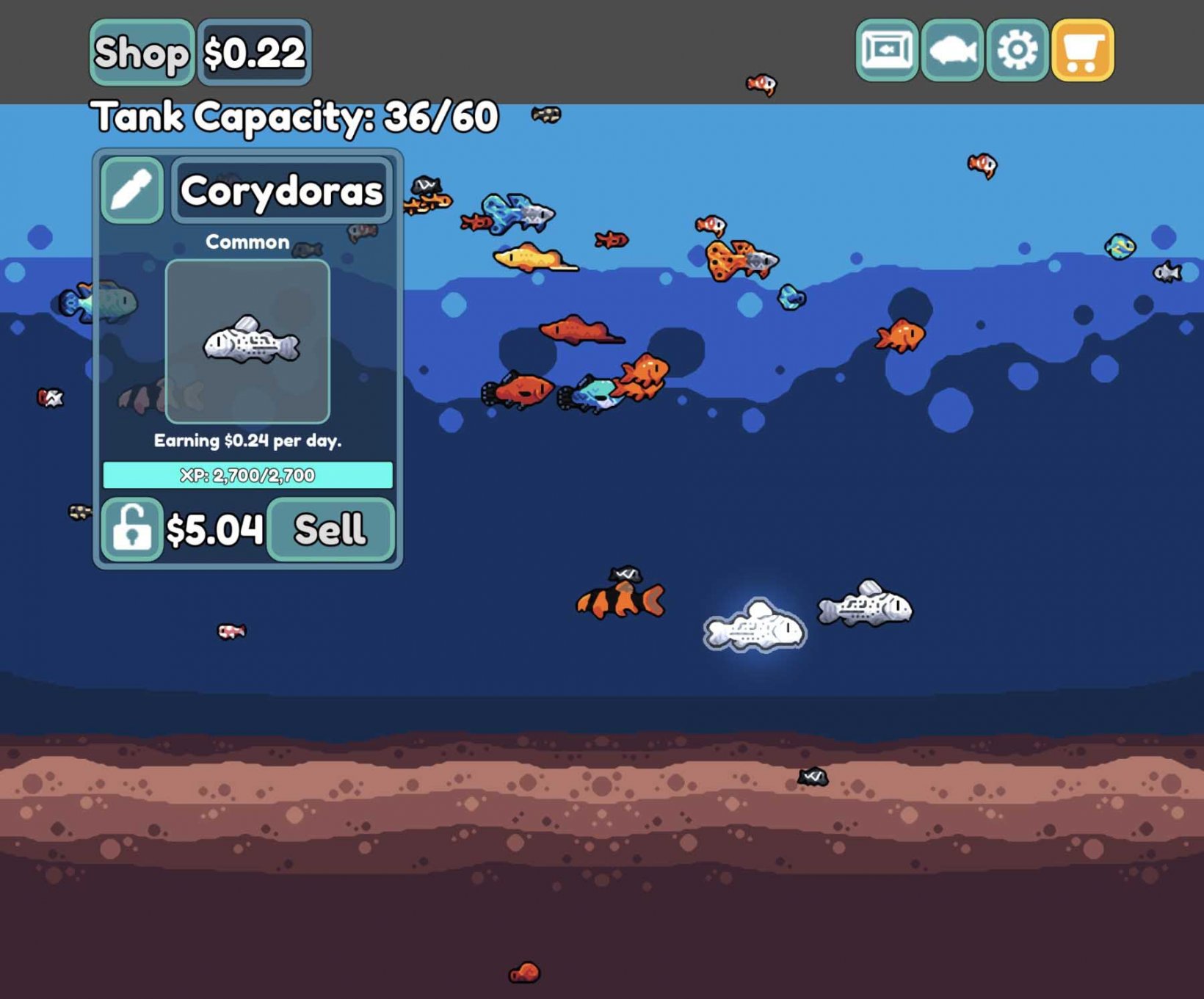 adult fish stats and how much they earn