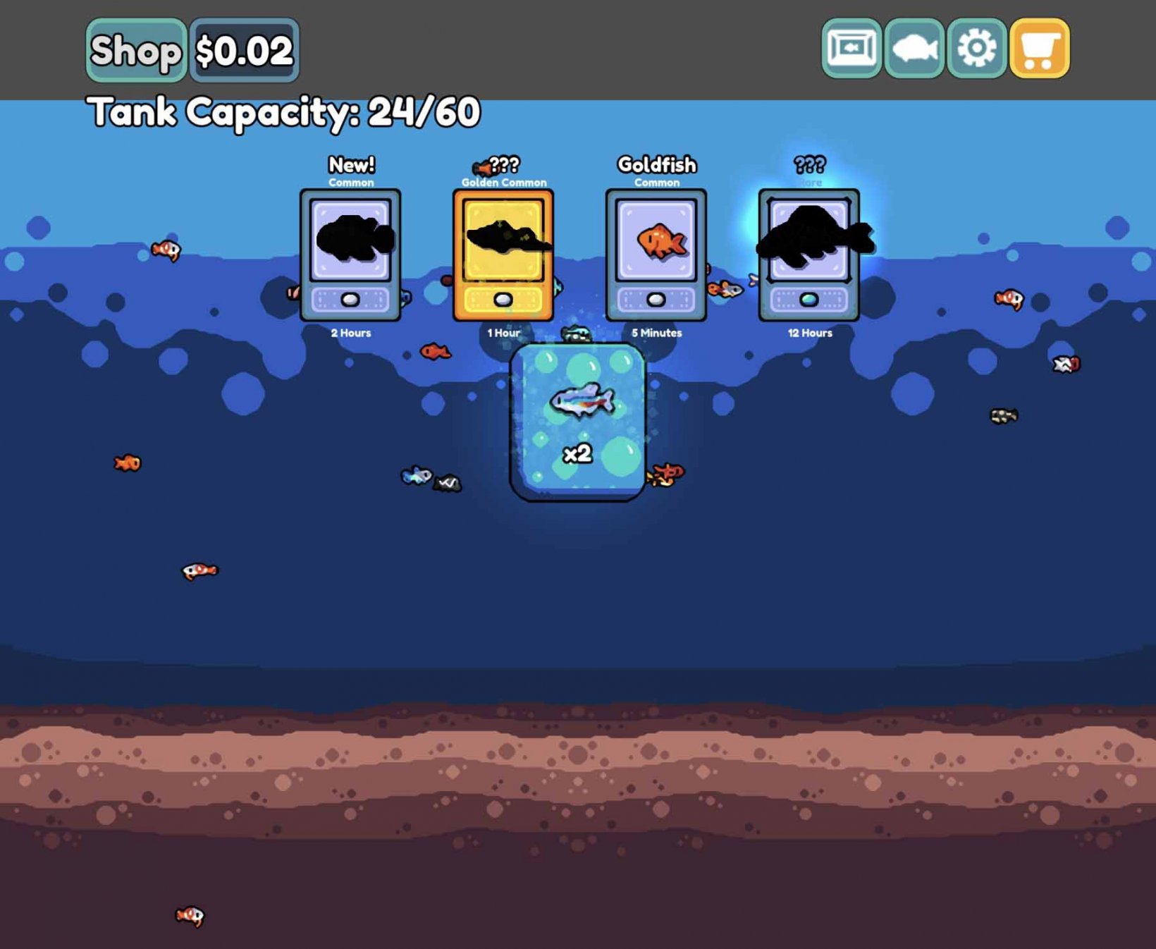 setting up some fish in an aquarium