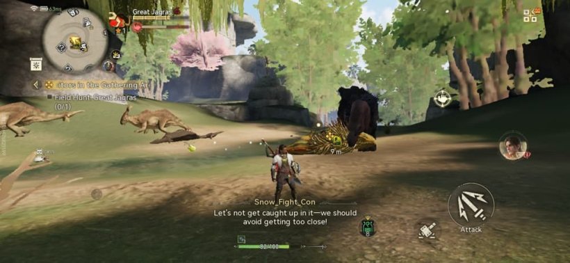 An image of a hunter in MHO stood in an open field, although in low graphics options.
