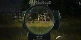 Way of the Hunter: Wild America