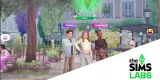 City Life Game With Friends