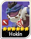 hokin maxed