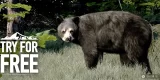 WOTH Wild America: Try and Buy icon