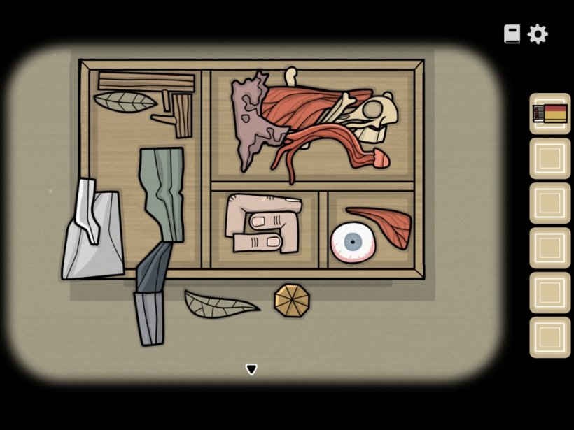 A box containing various body parts alongside sticks and leaves