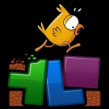 Chicky Drop icon