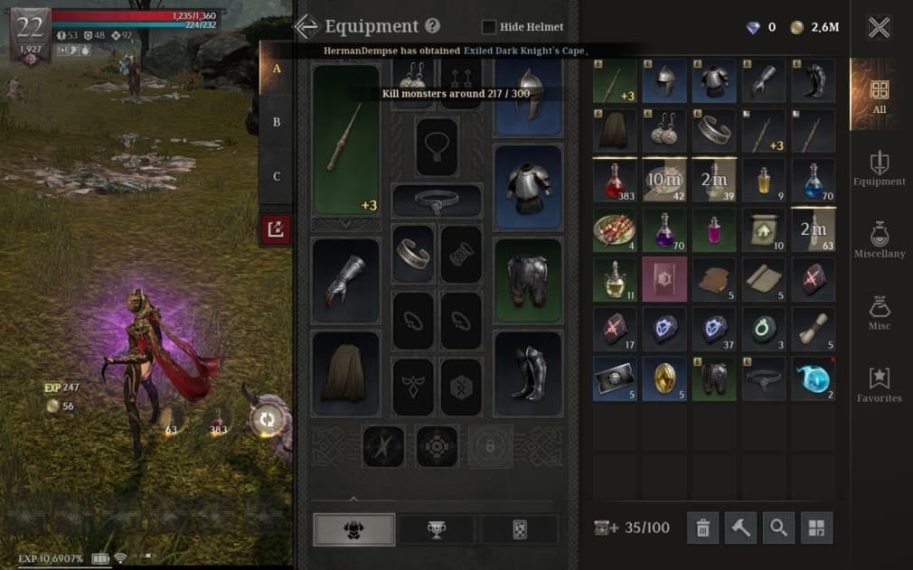 equipment on character and inventory with items