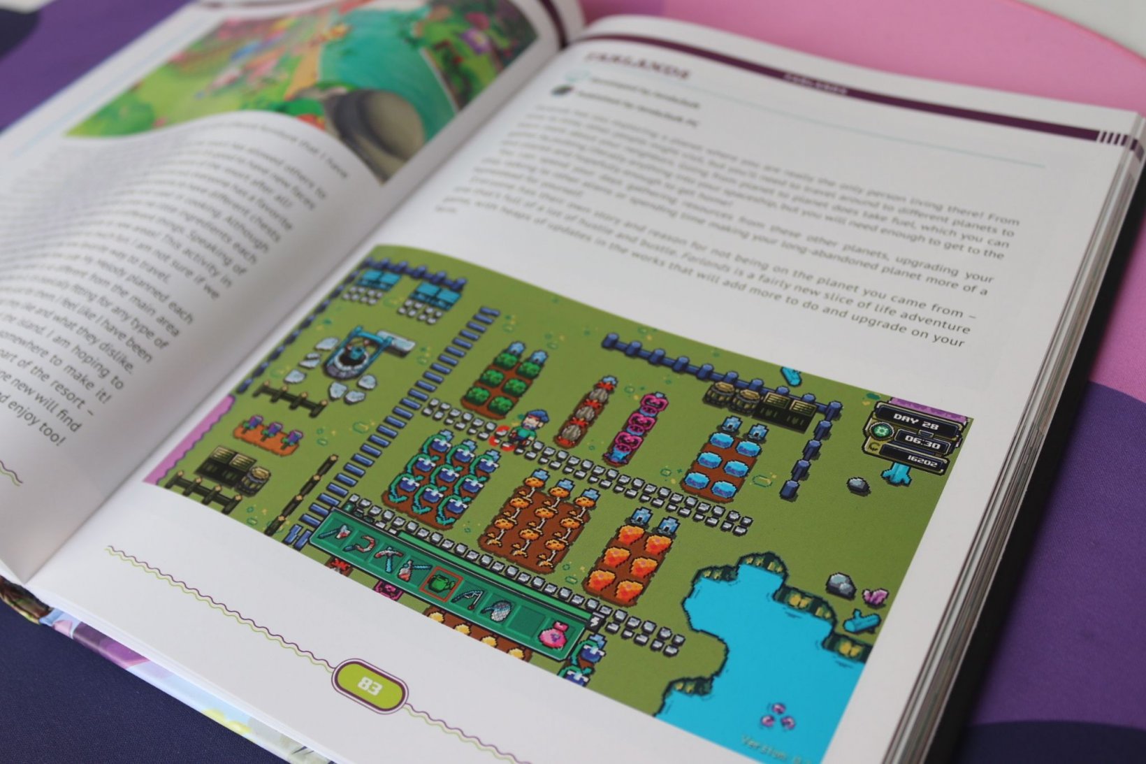 a book with the image of a popular game on its cover