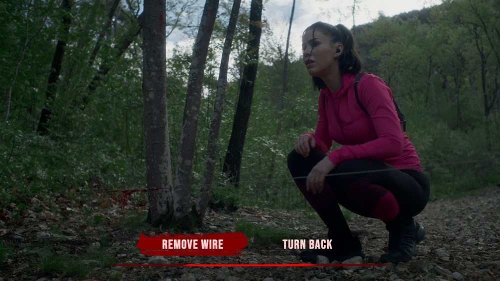 Screenshot d'une décision de The Run
