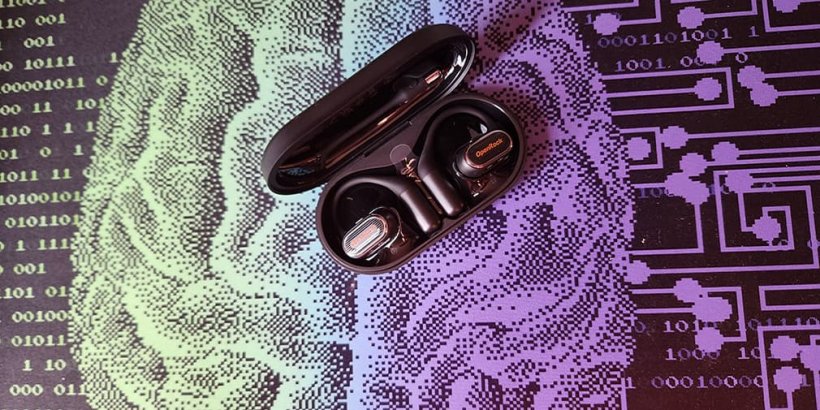 Link 20 earbuds in charging case