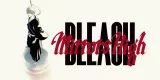 Bleach Mirrors High