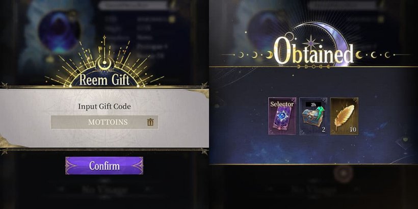 side by side shots of code redemption and gift code reward screens