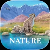 Nature Board Game icon