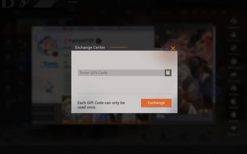 redeem codes window