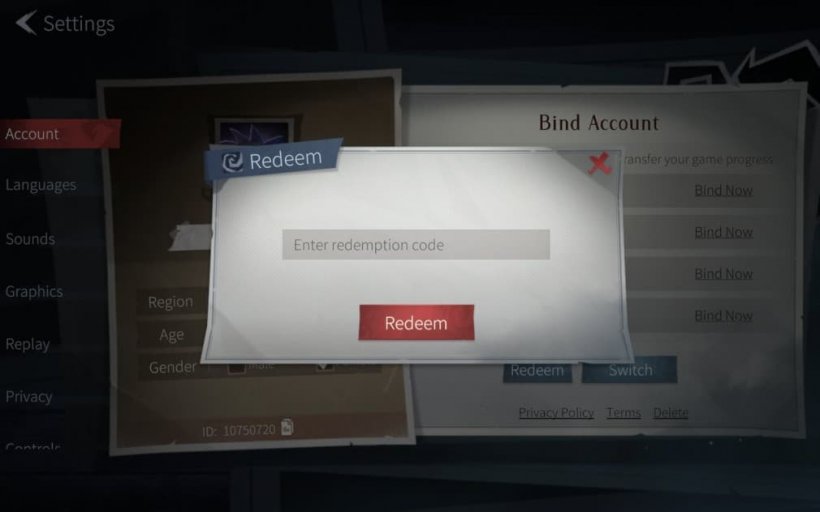 code redeem window in tomb busters