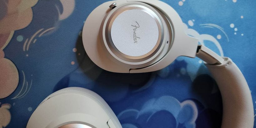 close up of ear housing