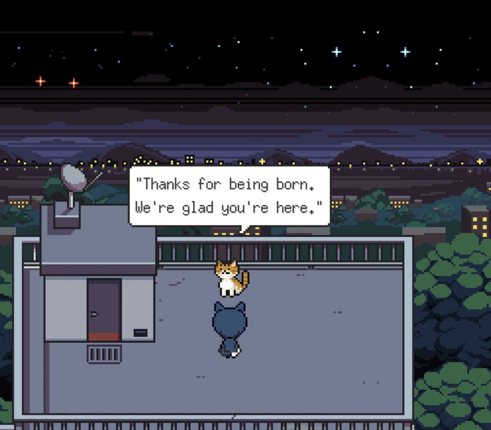 a cat on a rooftop talking about its birthday