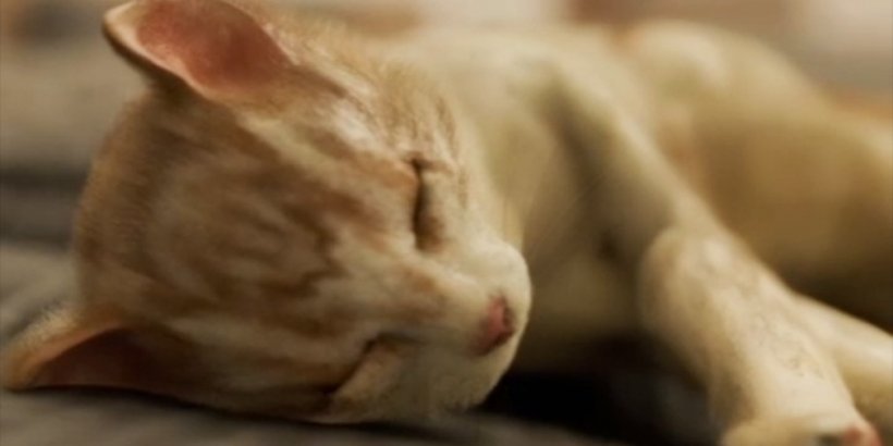 The Cat Was in the Bedroom is a simple and oddly calm puzzler out now on iOS and Android