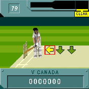 Freddie Flintoff Blast 'Em Cricket review
