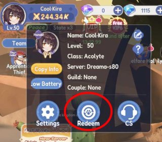 a character profile icon and the Redeem option