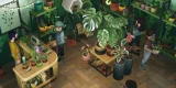Leafy Corner