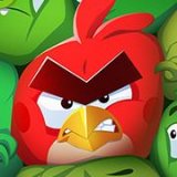 Angry Birds Islands sticks birds and piggies on a mysterious island, and it's soft-launched now in select countries