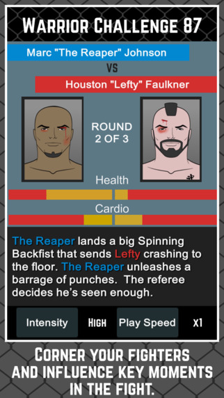 MMA Manager - Only experts, please