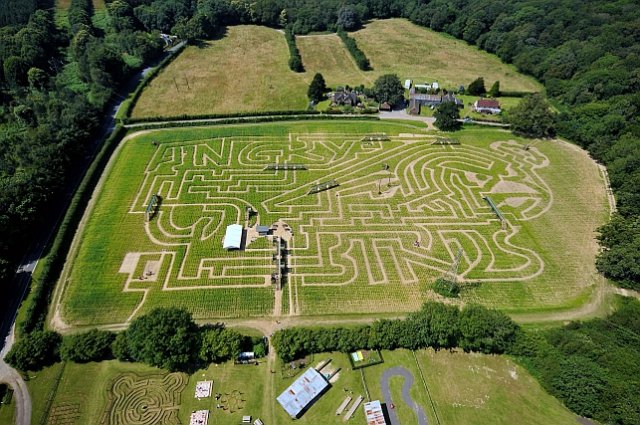 World's biggest Angry Birds maze opens in Sussex