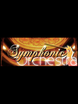 Symphonic Orchestra brings the arts to your DS?