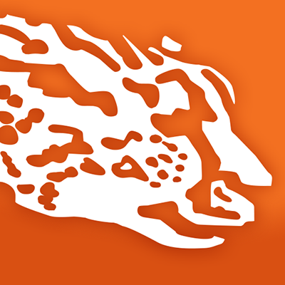 Feral Interactive icon