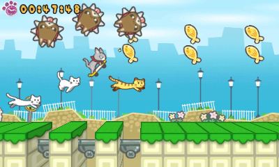 Skater Cat Review
